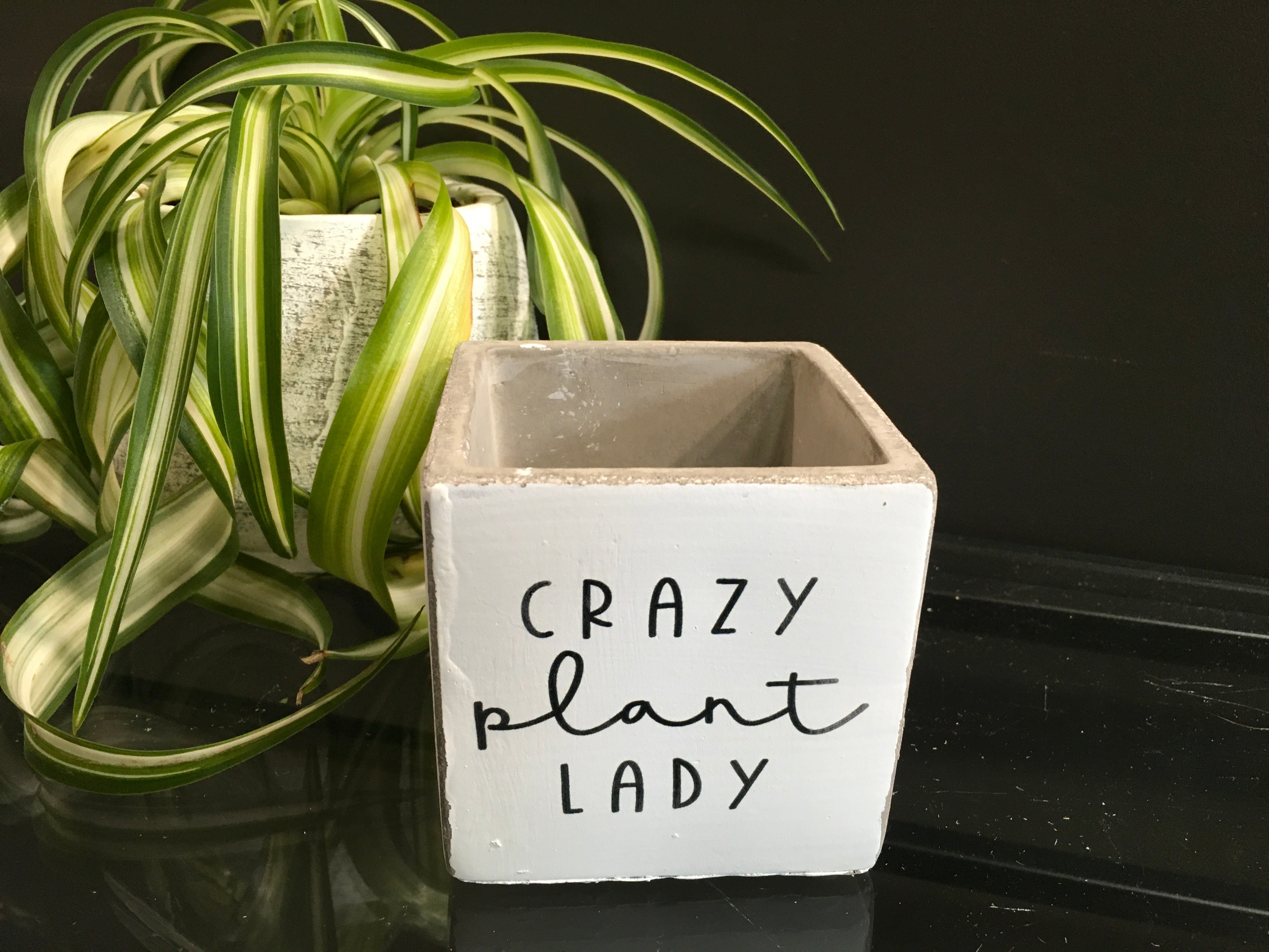 Crazy Plant Lady Succulent Pot